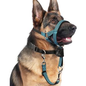 BARKLESS No Pull Dog Head Collar for Gentle Training Walking, Soft Padded Head Halter with Collar Safety Clip, Comfortable Fit Muzzle Leash with Reflective Strap for Medium Large Dog (Blue, M)