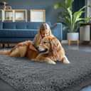 Fluffy Area Rugs for Bedroom 5x7: Shag Rugs for Bedroom - Living Room Area Rug 5x7 Grey Plush Fuzzy Soft Carpet - Teenage Room Dorm Decor Carpets