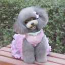 Dog Dress Luxury Puppy Skirt Clothes Princess Dresses Wedding Evening Tutu Skirt Rose Flower Bowknot Dresses for Small Dog Girl M Pink