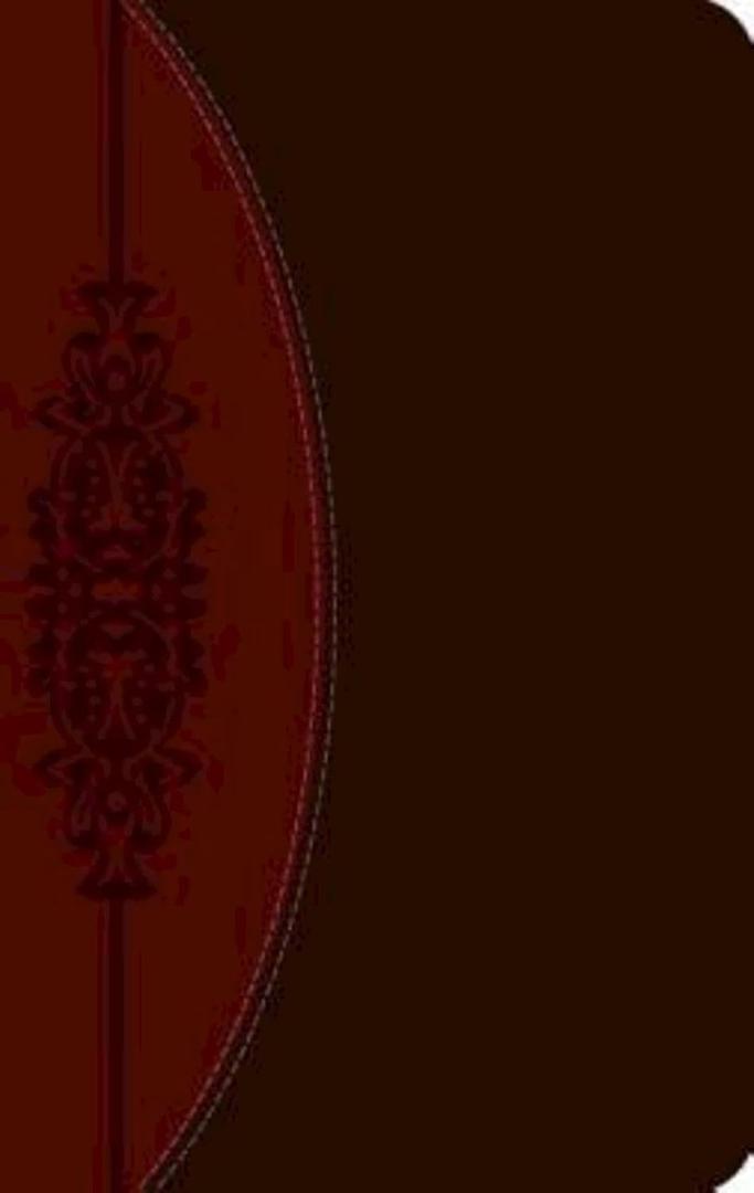 The CEB Wesley Study Bible, Paperback