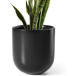LE TAUCI 10 Inch Plant Pot, Ceramic Pots for Plants with Drainage Hole and Rubber Plug, Plant Pots Indoor for Olive Tree, Cylinder Planter Pot for Home Patio Office, Black