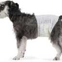 Amazon Basics Male Dog Diapers, Ultra Absorbent Disposable Wrap with Leak Proof Protection, Wetness Indicator, Secure Fit, Breathable, Medium, 30 Count, L