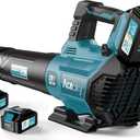 Leaf Blower Cordless - 580CFM/160MPH & 3 Speed Levels Electric Leaf Blower with 2 x 4.0Ah Battery and Charger, Extension Tube Blower for Lawn Care, Yard, Garage, Blowing Leaves, Dust or Snow, Blue