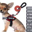 Service Dog Vest Harness and Leash Set, Animire in Training Dog Harness with 10 Dog Patches, Reflective Dog Leash with Soft Padded Handle for Small, Medium, Large, and Extra-Large Dogs (RED,S)