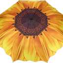 OURSKY Windproof Travel Umbrella - Compact Folding Portable with Sunflower Pattern - Golf Umbrella for Rain Sun Men and Women Outdoor, Wedding, Gifts - Yellow