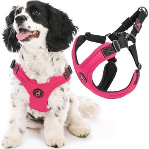 Gooby Escape Free Sport Harness - Pink, Large - No Choke Step-in Patented Neoprene Small Dog Harness with Four-Point Adjustment - Perfect on The Go Dog Harness for Medium Dogs No Pull and Small Dogs (Large chest (16-24.25"))
