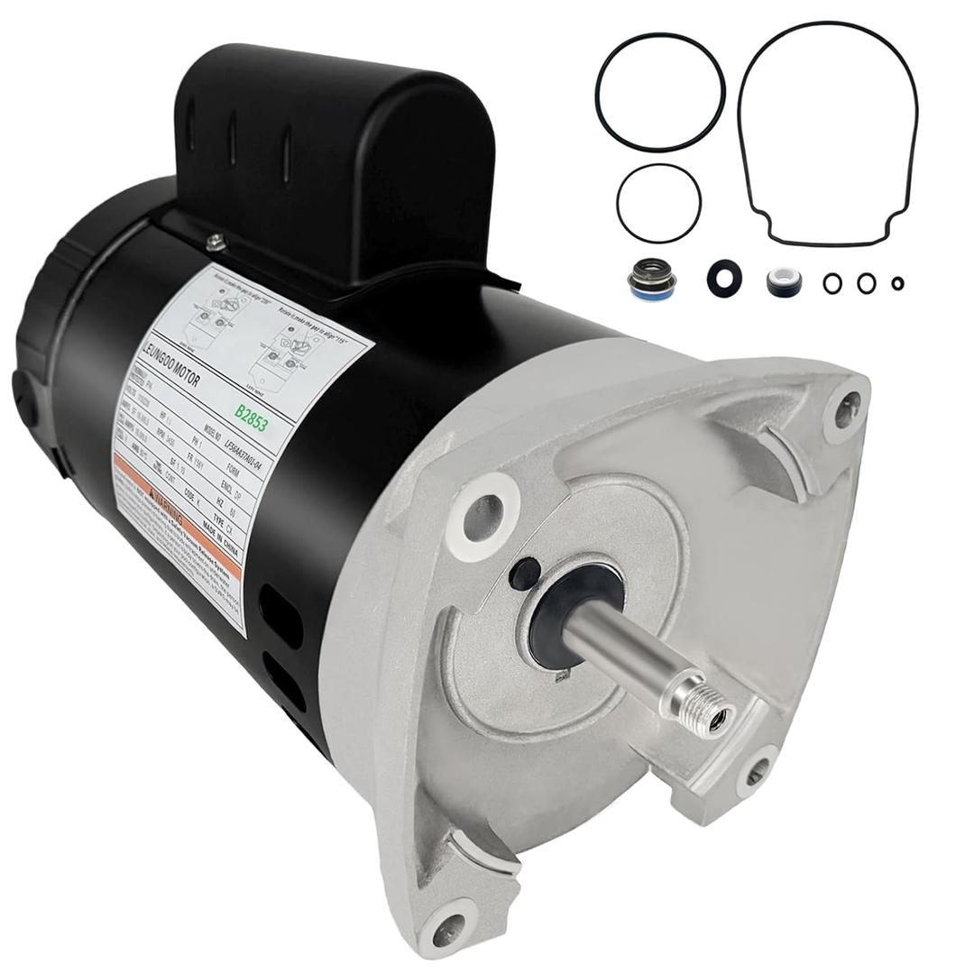 B2853 1 HP, Replaces Century AO Smith Pool Pump Motors,115/230V, 3450 RPM, 13.20/6.6A, 56Y Frame 1.25 Service Factor, Compatible with Pentair Superflo Sta-Rite Whisperflo Jandy Square Flange, LEUNGOO
