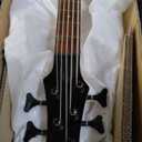 Ibanez GSR205SMNGT - Spalted Maple Top Natural Grey Burst