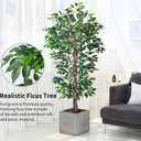 HAIHONG Artificial Ficus Tree 5FT Faux Silk Plants with Sturdy Plastic Nursery Pot,Fake Ficus Trees for Home Office Farmhouse Indoor Outdoor Decor Perfect Housewarming Gift (5FT-2Packs)
