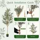 Olive Trees Artificial Indoor, 6FT Tall Faux Olive Tree with Black Pot, Moss, Lifelike Wood Trunk and Fruits,Suitable for for Modern Home Office House Living Room Decor