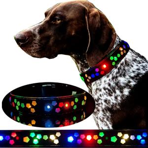 Subversive USB-C led Light up Dog Collar,Star Running LED Design Comfortable and Soft Material,Multicolored Lighting (Black, XL(19.7-23.6"))
