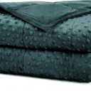 Alomidds Weighted Blanket for Adults (60"x80",15lbs Queen Size - Green), Cooling Breathable Soft and Comfort Minky, Heavy Blanket with Glass Beads