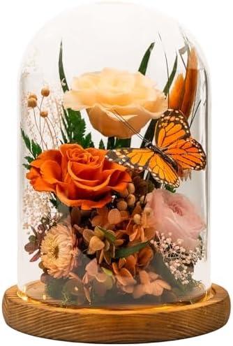 HUACHIPLUS Eternal Flowers with Butterfly: Forever Flower Arrangement-Elegant Preserved Flowers in Glass Dome-Romantic Valentines, Anniversary, Mom Gifts for Her-Flowers for Delivery Prime (Orange)