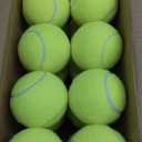 Tennis Balls, 20 Pack Training Tennis Balls,High Elasticity Practice Tennis for Beginner, Exercise Playing Balls for Pet Dog (Yellow)
