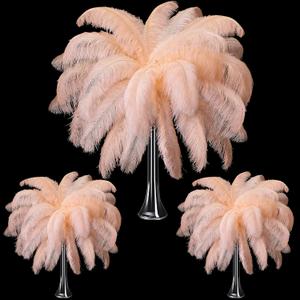 Maitys 90 Pcs Large Natural Ostrich Feathers Bulk 14-16 Inch (35-40cm) 12-14 Inch (30-35cm) 10-12 (25-30cm) Ostrich Feathers Plumes for Centerpieces Wedding (Champagne)