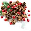 20 LED Christmas Pinecone Lights,7 FT Pinecone Red Berry Bell Christmas Garland with Lights Battery Operated Christmas Decorations String Lights with Pine Cone Indoor Outdoor Wedding Birthday Party