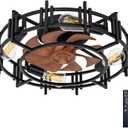 20'' Modern Black Caged Ceiling Fans Low Profile Ceiling Fans with Lights and Remote,Timer,6 Speeds Quiet Reversible Dc Motor for Bedroom,Kitchen,Indoor