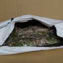 2Pcs 39.4inch Thick Bendable Artificial Tree Trunk Fake Large Wood Branches Twig Moss Grape Vine Garland Twisted Stick For Terrarium Outdoor Hanging Mantel Reptile Climbing Wall Yules Decorations