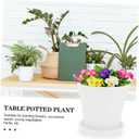 6 Cactus Pots for Plants and Decorative Displays (9.5x9.5X9cm, White)