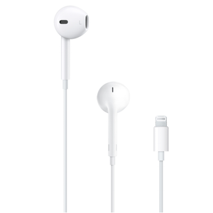 EarPods Lighting Connector