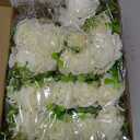 Sherr 20 Pcs Rose Boutonniere for Men Wedding Corsage Rose Groom and Groomsmen Boutonniere with Artificial Flower for Rustic Vintage Wedding Ceremony Anniversary Dinner Prom Party (White)