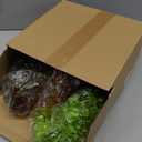 Giegxin Fall Mini Hanging Artificial Plant with Woven Basket Boho Fake Plants Ivy Faux Vines Eucalyptus Leaf for Thanksgiving Indoor Home Wall Shelf Decor(3 Set, Green, Hanging Plant Basket)