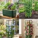 2 PackTomato Planter with Trellis, Self Watering Planter Box with Trellis, Vertical Raised Garden Bed Planter for Climbing Vegetables Indoor Outdoor Patio