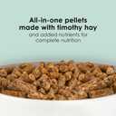 Kaytee Timothy Complete Guinea Pig Food, Made with Timothy Hay, High in Fiber, Supports Dental Health and Digestion, Long-lasting Vitamin C, 5 pounds