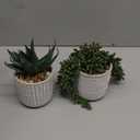 Set of 3 Assorted Small Potted Succulent Plants Fake Aloe String of Pearls Hops Succulents in Gray Geometric Concrete Ceramic Pots for Gifts Modern Home Office Desk Table Indoor Outdoor Greenery Decor