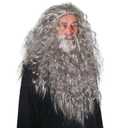 Skeleteen Grey Wig and Beard - Long Gray Wizard Wig and Beard Costume Accessory for Adults and Kids