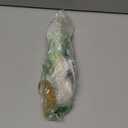 6 Pack Semicircle Sunflower Brushed Gold Cabinet Pulls,Brass Drawer Handles Knobs,Half Round Kitchen Cabinet Handles,Finger Edge Pulls Knobs with Screws (6, Brushed Gold, 2.5'' Hole Center)