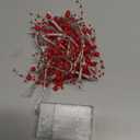 Mudder 30 LEDs Christmas Fairy Lights with Mistletoe Decoration Berry Beaded Garland for Christmas Home Indoor Decor (Red)