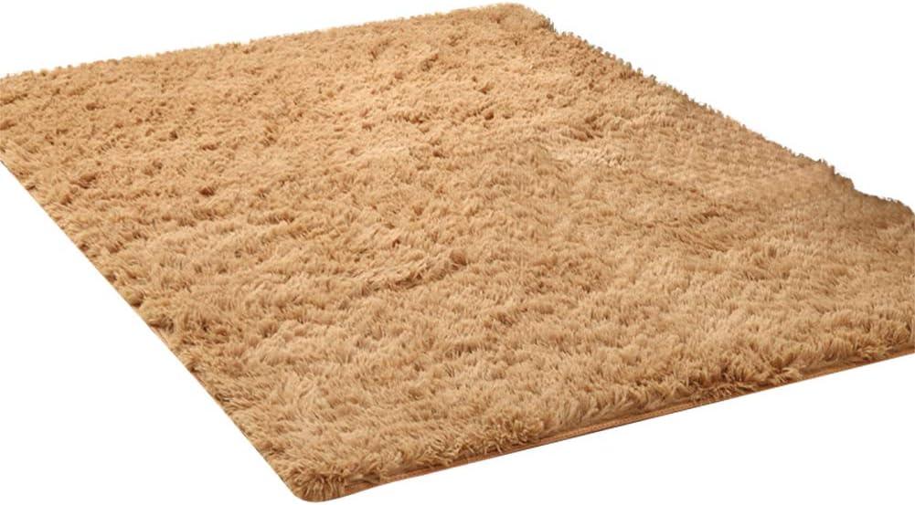 Ultra Soft Indoor Modern Square Area Rugs Fluffy Non-Slip Floor Carpets Silky Mat for Living Room Bedroom Kids and Baby Room Nursery and Pet, 22 x 36