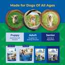 N-Bone Puppy Teething Rings Taste of Texas Burnt Ends Flavor 3 Count (EXP 05/26/26)