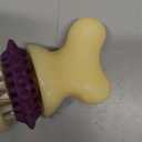 PetSafe Busy Buddy Bristle Bone - Chew Toy for Dental Health Support - Durable Dog Plaything for Tough Chewers - Includes 4 Refillable Treat Rings - Safe Chew Toy for Large Dogs (50-90 lbs) (Large (Pack of 1))