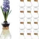Small Glass Vases for Centerpieces - Hewory 12pcs Clear Mini Hyacinth Avocado Growing Bud Vase Bulk, Cute Tiny Flower Bulb Forcing Plant Containers Set for Wedding Home Living Room Table Decorations