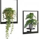2 Pack Plant Stand Indoor Outdoor Hanging Planters for Indoor Plants Wall Plant Holder for Indoor Plants Plant Frames Wall Decor for Livingroom Bedroom Balcony Patio