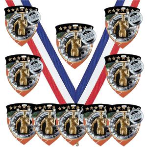 Express Medals Various 10 Pack Styles of Track Award Medals with Neck Ribbons Trophy Award Prize Gift (Design 30)