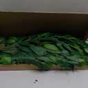 mizii 24pcs Italian Ruscus Artificial Greenery Stems Silk Green Leaves 20in Fake Spray Plants Stem Garland Greenery Decoration for Centerpieces Wedding Arch Flower Bouquet Table Room Wall Decor (24)