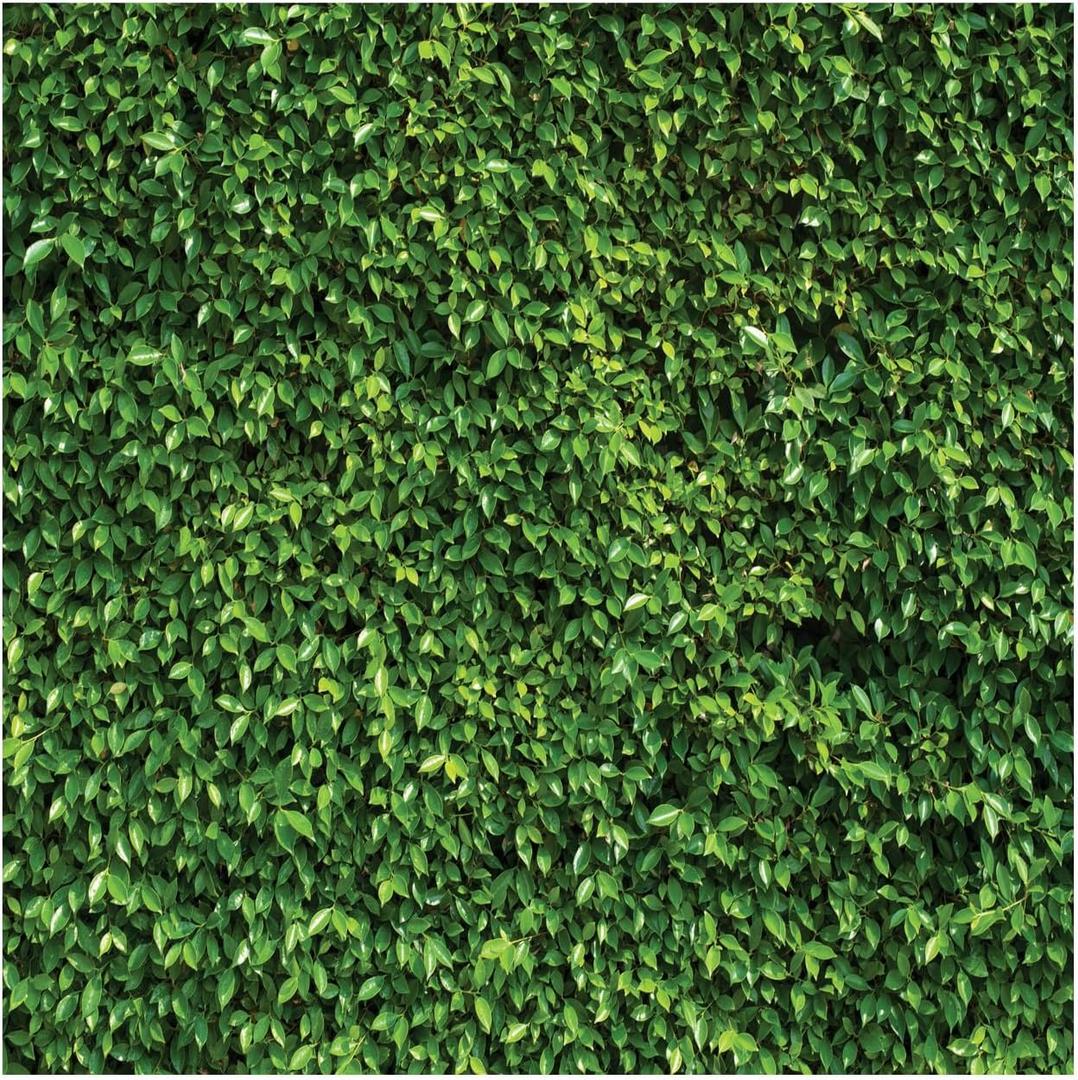 WOLADA Grass Wall Backdrop Green Leaf Banner 8x8FT 10923 