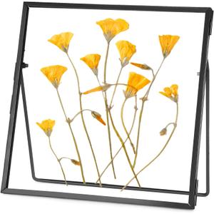 Double Glass Frame for Pressed Flowers Handmade, Tabletop Photo Frame for Floating Picture and Flower Press, Simple, Metal Geometric, Square, Black, 4x4 Inches (4L" x 4W")