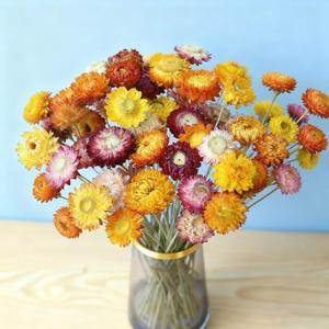 20 PCS Natural Dried Daisy Flowers Bouquet - Multicolor Dried Daisy Sunflowers, Dry Flower Arrangements for Wedding, Table Vase Decor, Home Decor Office Party Farmhouse Decoration, Valentine's Day