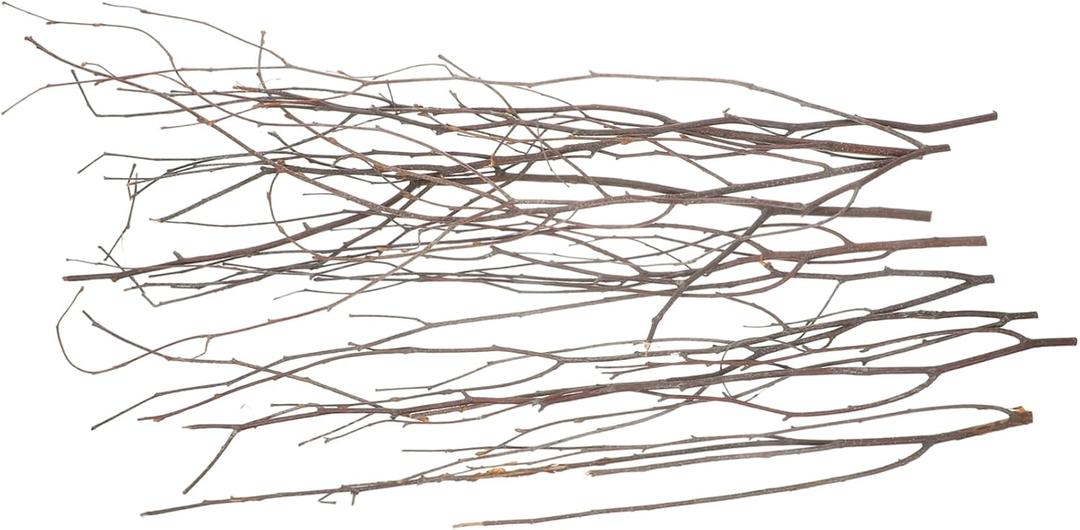 10pcs Elegant Dried Twig Decoration Natural Branches for Home Decor Vase Fillers Wedding Party Arrangements Photography Props Rustic Centerpieces