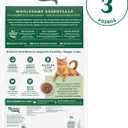 Nutro Wholesome Essentials Dry Cat Food, Adult Cat Food Dry Salmon & Brown Rice Recipe, 3 lb. Bag (3 Pound (Pack of 1))