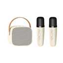 Karaoke Machine for Kids, Karaoke Gifts for Girls Ages 4, 5, 6, 7, 8, 9, 10, 12 +Year Old Birthday Party, 4-12 Years Old Christmas Toys Gift for Girls (Beige 2 Mics)