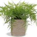 Small Fake Plant Potted Plants Artificial Decor Silk Ferns Plant Faux Plants in Pots for Home Living Room Bedroom Desk Bathroom Window Shelf Farmhouse Decoration (1 Pack - Style 3)