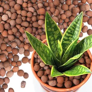 T4U Leca Clay Pebbles for Plants, 1.5qt 10-20 mm Clay Balls for Indoor Plants, Natural Clay Pebbles for Orchid Potting Mix, Hydroponic, Leca Pots, Plant Drainage, Garden Soil