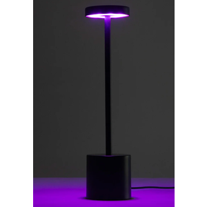 Mercury Metal Led Touch Lamp