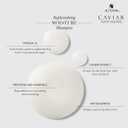 Alterna Caviar Anti-Aging Replenishing Moisture Shampoo/Conditioner