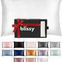 Blissy Silk Pillowcase - 100% Pure Mulberry Silk - 22 Momme 6A High-Grade Fibers - Silk Pillow Cover for Hair & Skin - Regular, Queen & King (Blissy White, Queen)